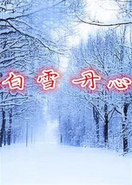 白雪丹心(全集)